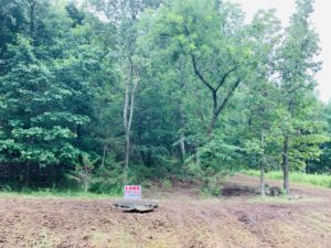 Land For Sale Beaver Lake Arkansas