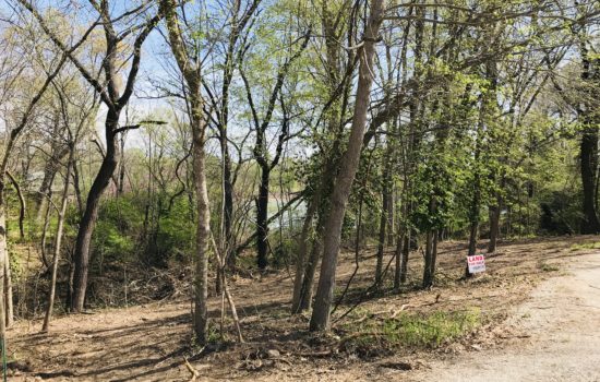 Cabin Land 0.40 Acres on Beaver Lake in Beav O Rama Park Fayetteville Arkansas