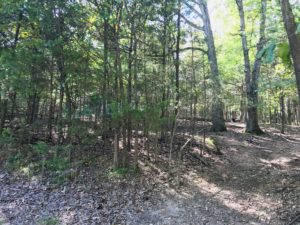Land For Sale in Lost Bridge Village