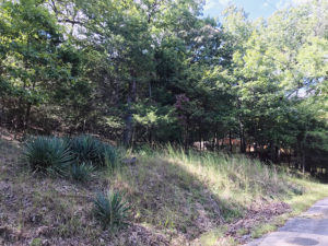 Lost Bridge Village Land for Sale