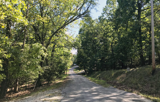 Land For Sale 0.18 Acres in Lost Bridge Village at Beaver Lake Garfield, Arkansas