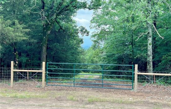 Land For Sale 21 Acres Charleston Arkansas